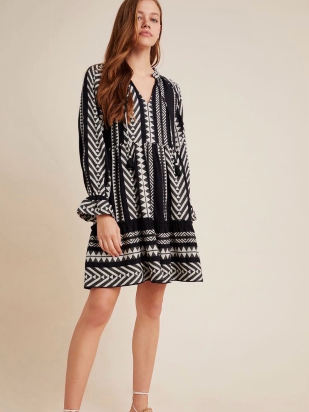 Anthropologie Maeve Dominique Embroidered Tunic Mini Dress | S